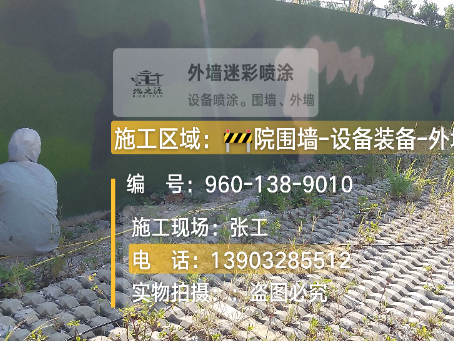 徐汇外墙迷彩漆材料价约 45-60 元 /k