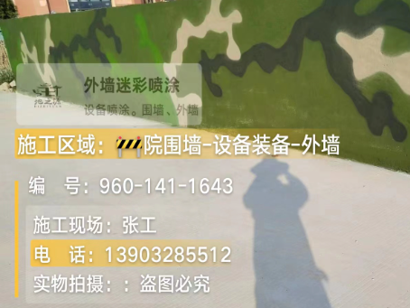 徐汇 迷彩漆喷涂价格（按平方米计费）