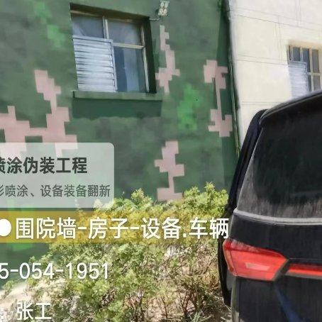 徐汇数码迷彩漆施工